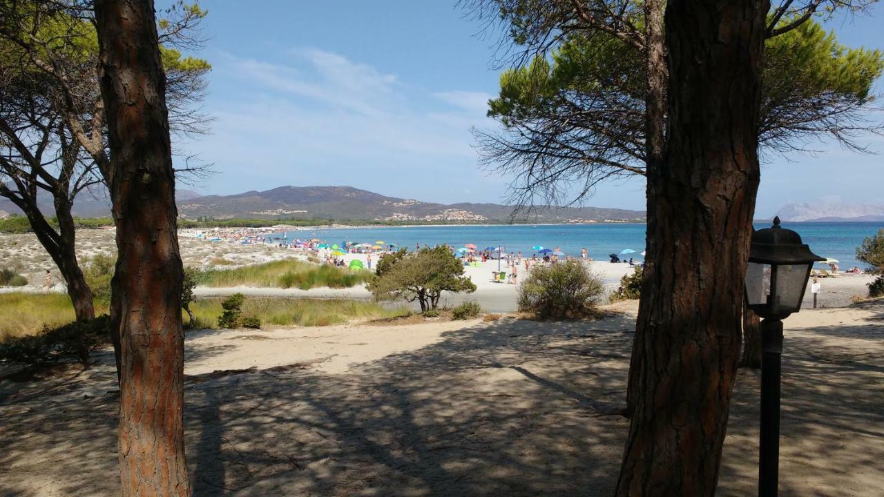 Sa Pira Vila Budoni Exterior foto